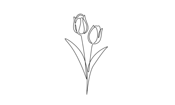 Elegance in Motion: The 2 Tulip Flowers Animation