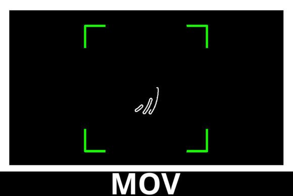 Fingerprint Access Denied Motion Graphic: Visualizing Digital Security