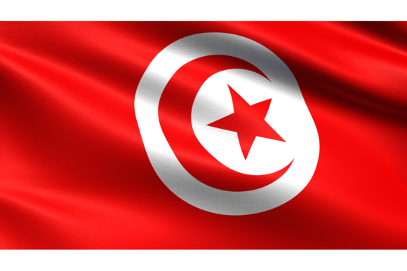 Tunisia Flag Waving Texture: Realistic Design Asset